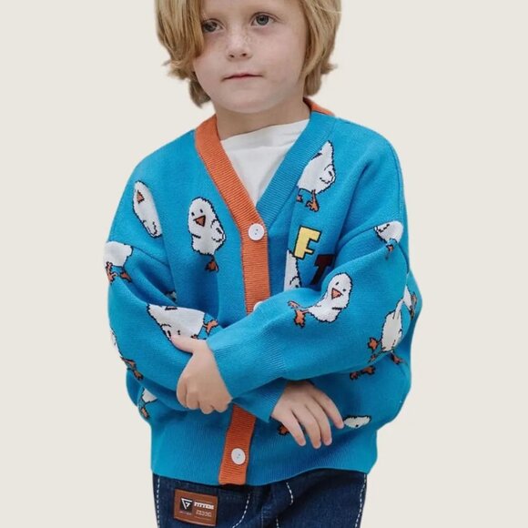 Other - 5T unisex kids clothing - Chicklet Cardi